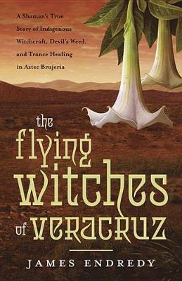 Book cover for The Flying Witches of Veracruz