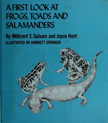 Book cover for A First Look at Frogs, Toads, and Salamanders