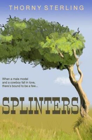 Cover of Splinters