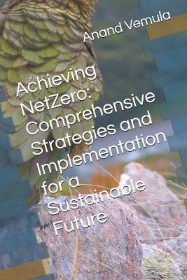 Book cover for Achieving NetZero