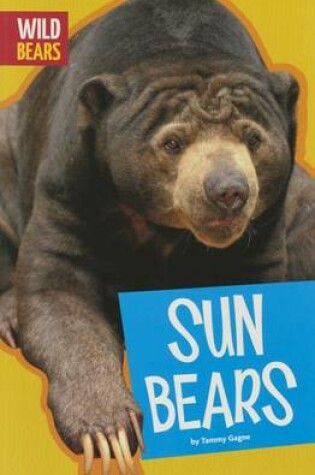 Cover of Sun Bears