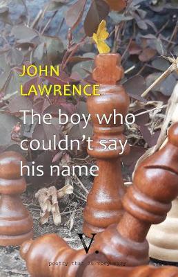 Book cover for The boy who couldn't say his name