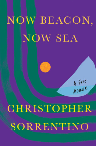 Book cover for Now Beacon, Now Sea