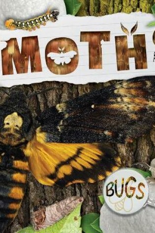 Cover of Moths