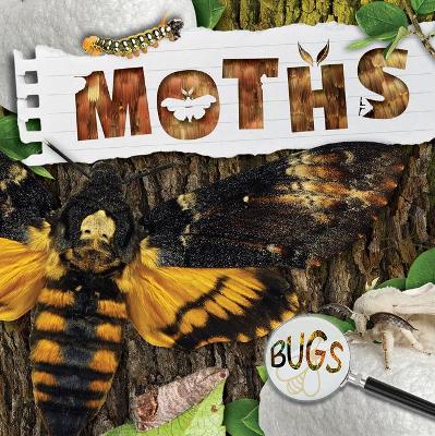 Book cover for Moths