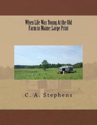 Book cover for When Life Was Young At the Old Farm in Maine