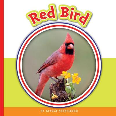 Book cover for Red Bird