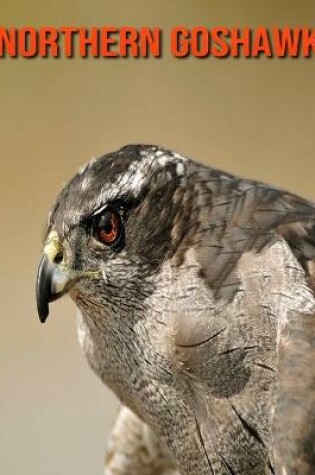 Cover of Northern Goshawk