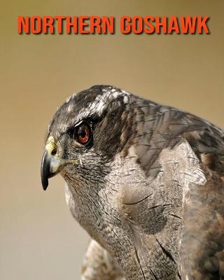 Book cover for Northern Goshawk