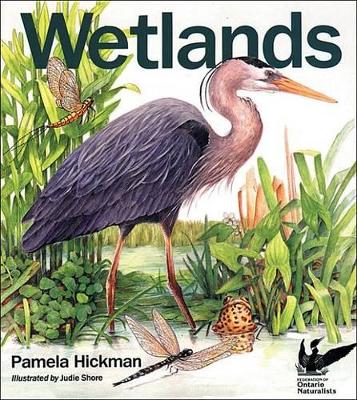 Book cover for Wetlands