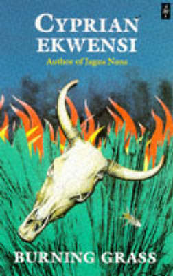 Cover of Burning Grass