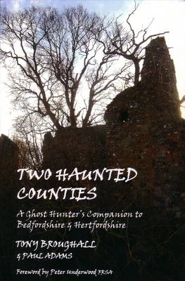 Book cover for Two Haunted Counties