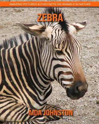 Book cover for Zebra