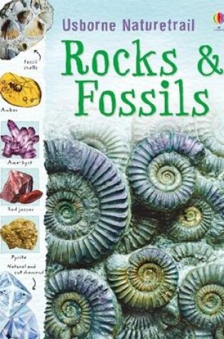 Cover of Rocks and Fossils