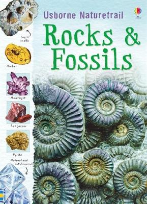 Book cover for Rocks and Fossils
