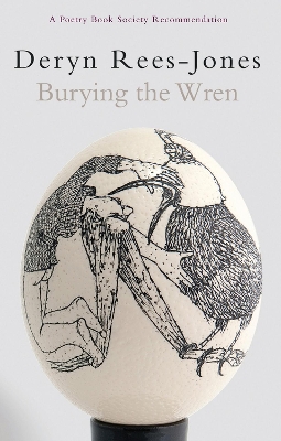 Book cover for Burying the Wren