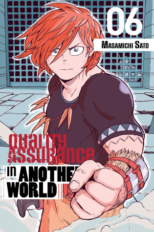 Cover of Quality Assurance in Another World 6