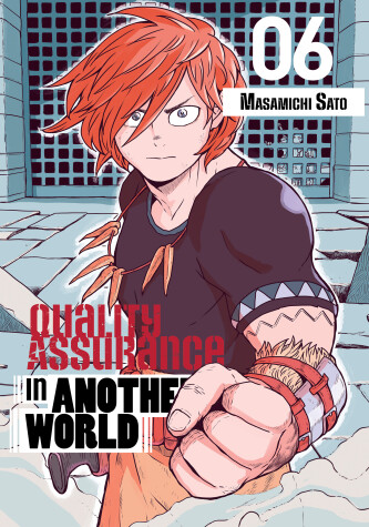 Cover of Quality Assurance in Another World 6