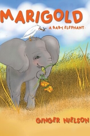 Cover of Marigold A Baby Elephant