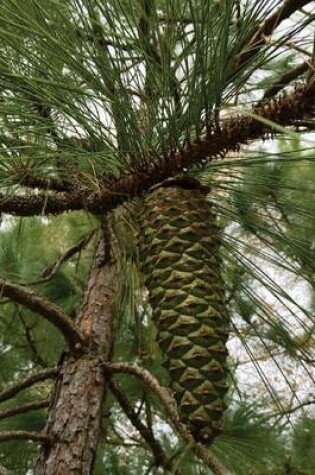 Cover of Pinecone on the Branch, for the Love of Nature