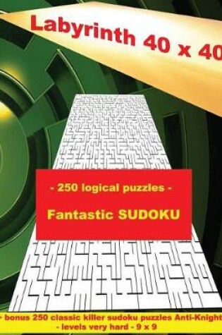 Cover of Labyrinth 40 X 40 - 250 Logical Puzzles - Fantastic Sudoku