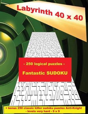 Cover of Labyrinth 40 X 40 - 250 Logical Puzzles - Fantastic Sudoku