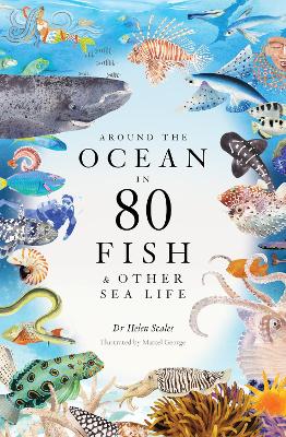 Book cover for Around the Ocean in 80 Fish and other Sea Life