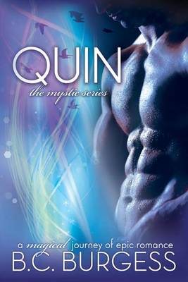Book cover for Quin