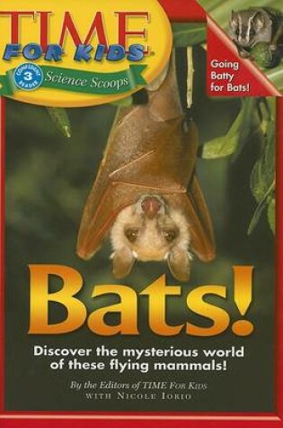 Cover of Bats!