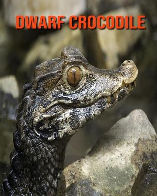 Book cover for Dwarf Crocodile