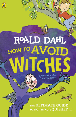 Book cover for How To Avoid Witches