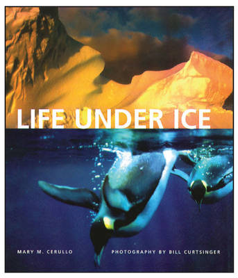 Book cover for Life Under Ice