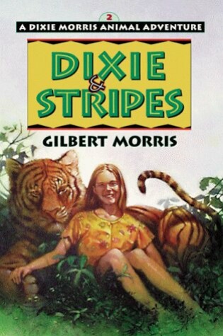 Cover of Dixie and Stripes