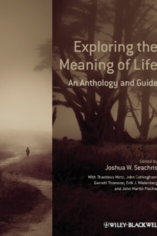 Cover of Exploring the Meaning of Life - An Anthology and Guide