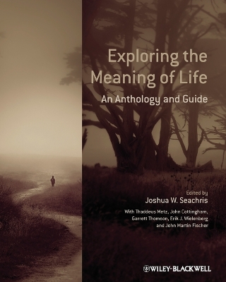 Book cover for Exploring the Meaning of Life - An Anthology and Guide