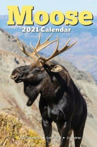 Cover of Moose Calendar 2021