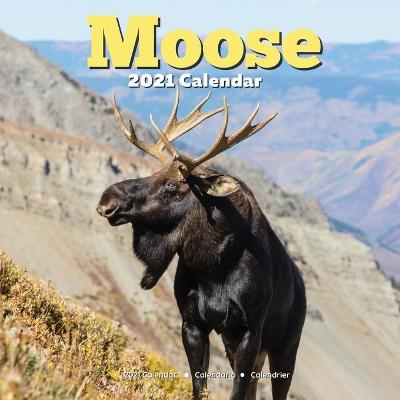 Book cover for Moose Calendar 2021