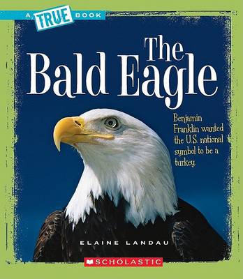 Book cover for The Bald Eagle