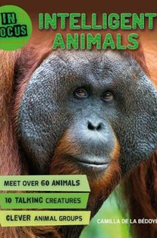 Cover of In Focus: Intelligent Animals