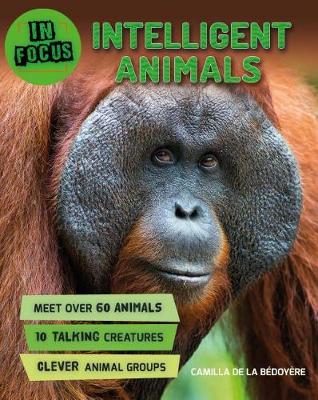 Book cover for In Focus: Intelligent Animals