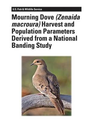 Book cover for Mourning Dove (Zenaida macroura) Harvest and Population Parameters Derived From a National Banding Study