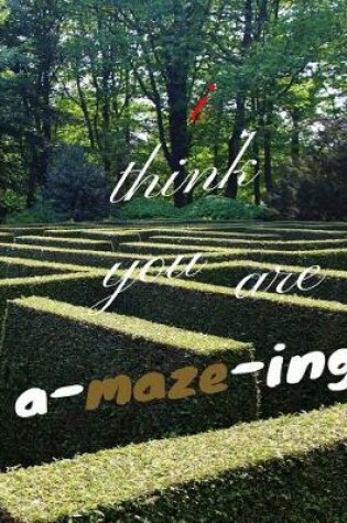 Cover of I Think You Are A-Maze-Ing