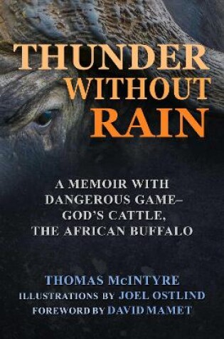 Cover of Thunder Without Rain