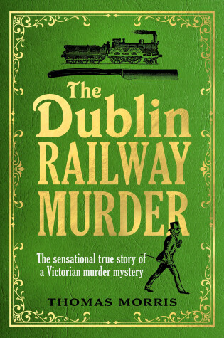 Cover of The Dublin Railway Murder