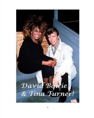 Book cover for David Bowie and Tina Turner!