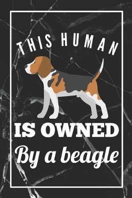 Book cover for This Human Is Owned By A Beagle