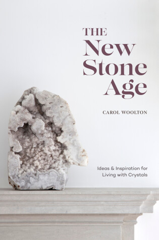 Cover of The New Stone Age