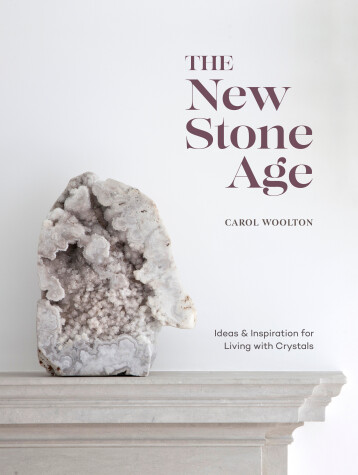 Book cover for The New Stone Age