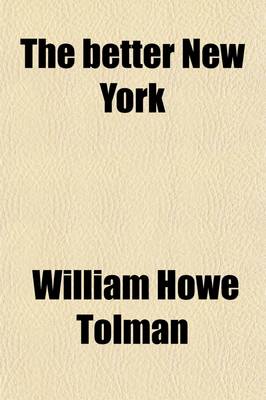 Book cover for The Better New York