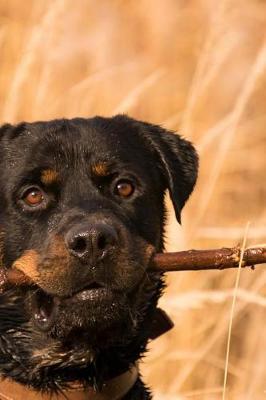 Book cover for Rottweiler, My Stick Journal